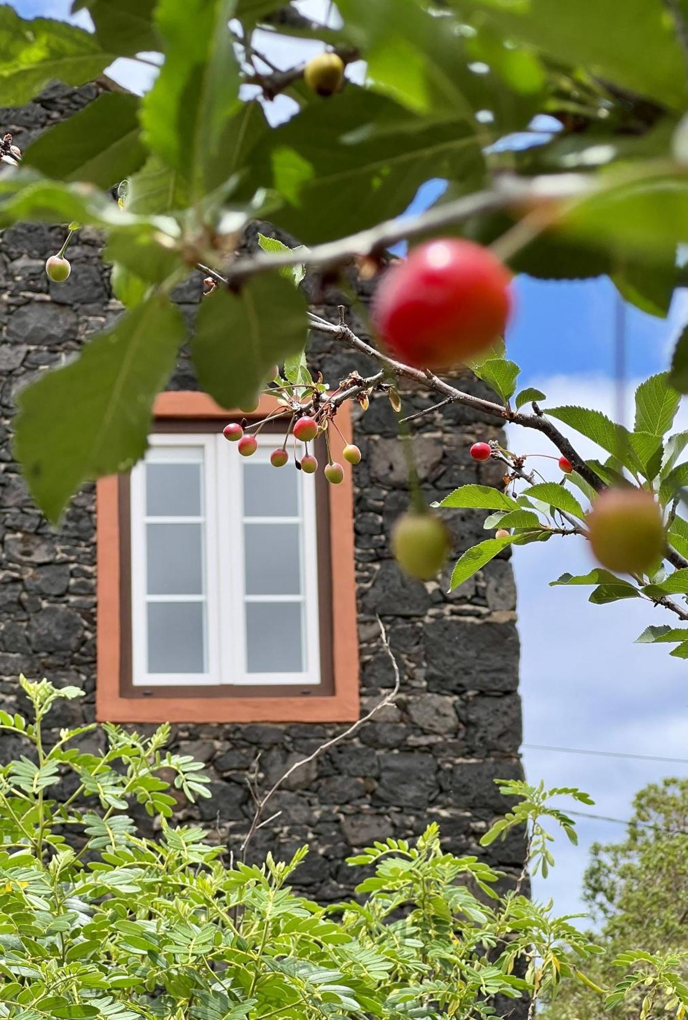 Cozy Rural House Las Guindas, El Hierro Erese 외부 사진