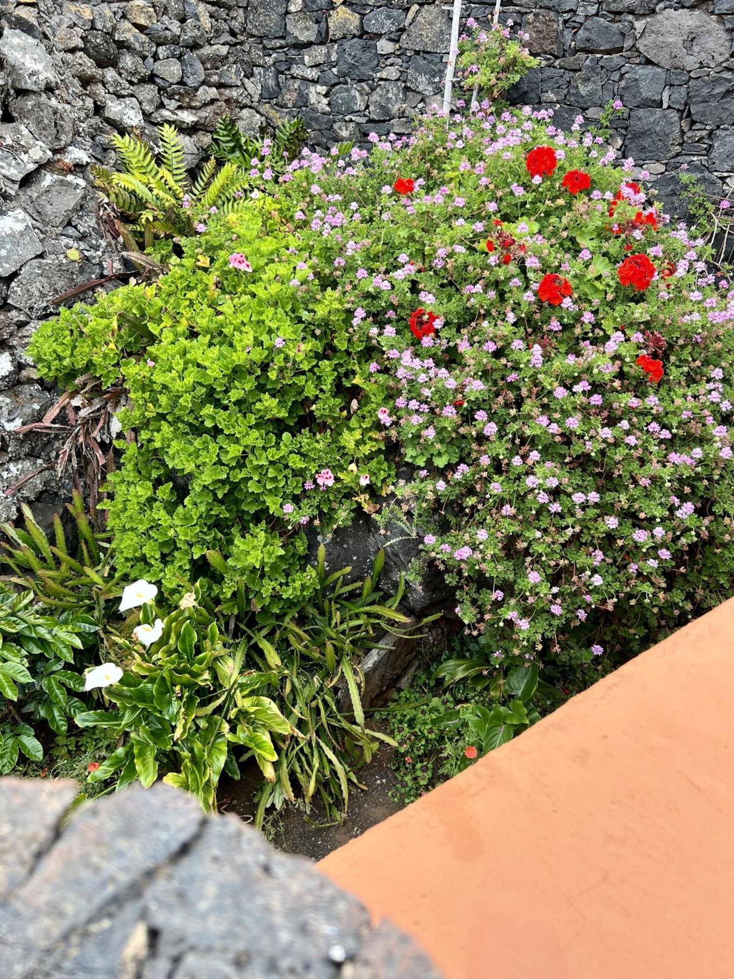 Cozy Rural House Las Guindas, El Hierro Erese 외부 사진